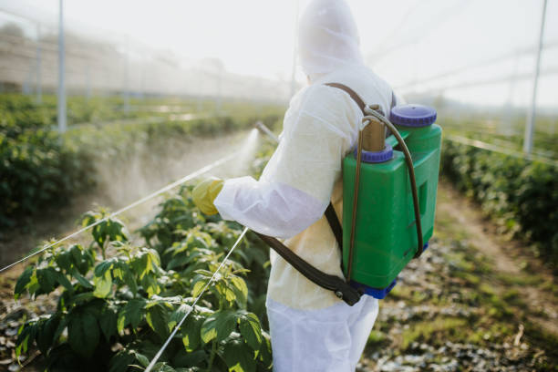 Best Fumigation Services  in Leupp, AZ